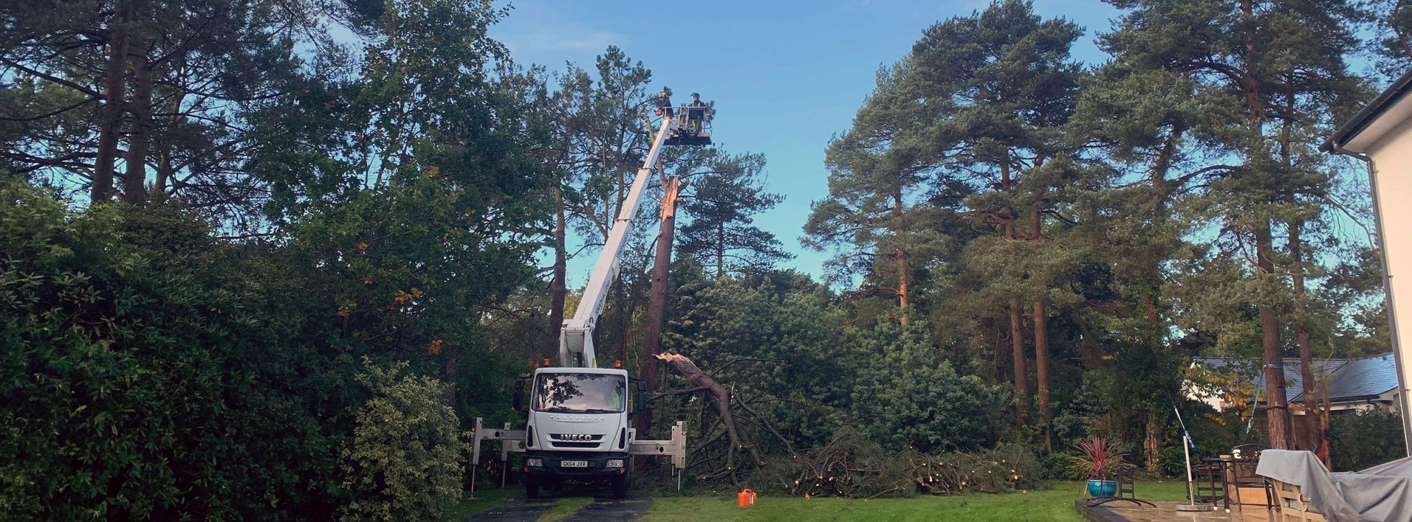 Tree surgery for commercial and domestic hire