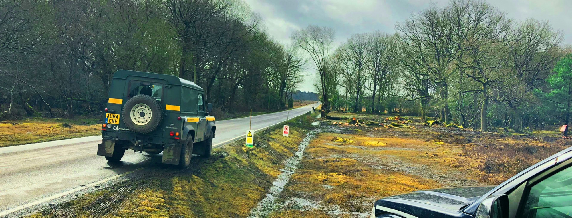 Tree Removal and Felling